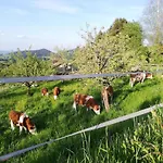 Haus Monika Anger